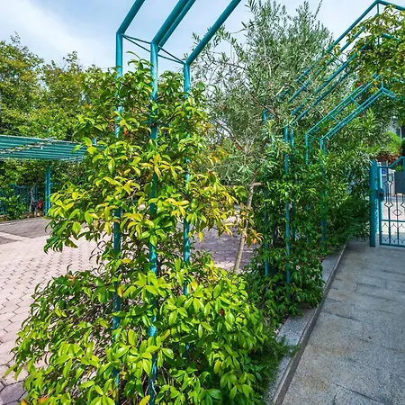 3 Bedroom Amazing In Pjescana Uvala